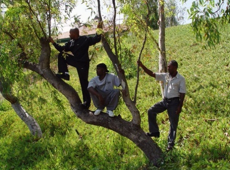Young blonde slut gets gangbanged by black men in wooded backyard